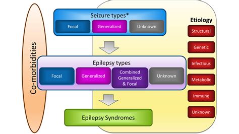 ilae epilepsy|ilae epilepsy treatment guidelines.